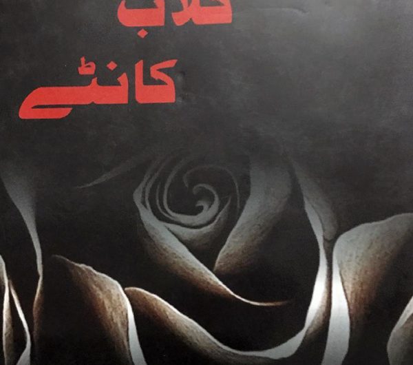 خوشبو گلاب کانٹے